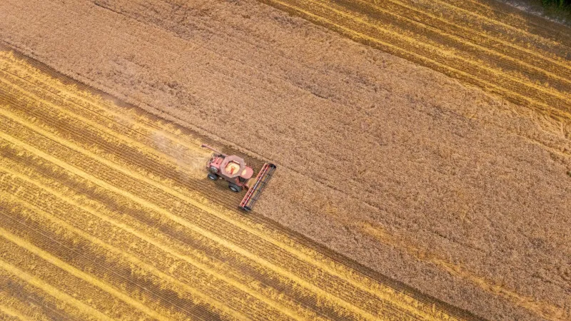 The Breadbasket's Reckoning: What History's Most Productive Regions Have Always Known About Being Used
