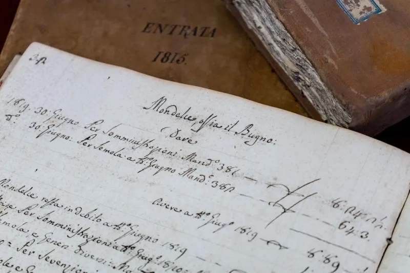 The Ledger That Ruled the Land: How Record-Keepers Quietly Became the Most Powerful People in History